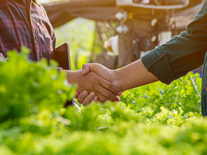 Licencia social para la Agricultura del Siglo XXI